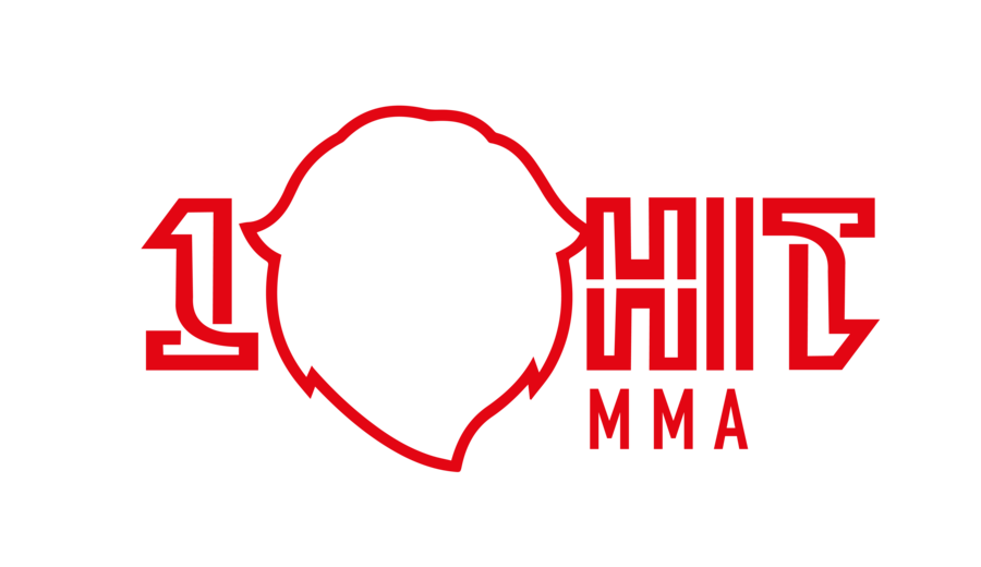 One Hit MMA